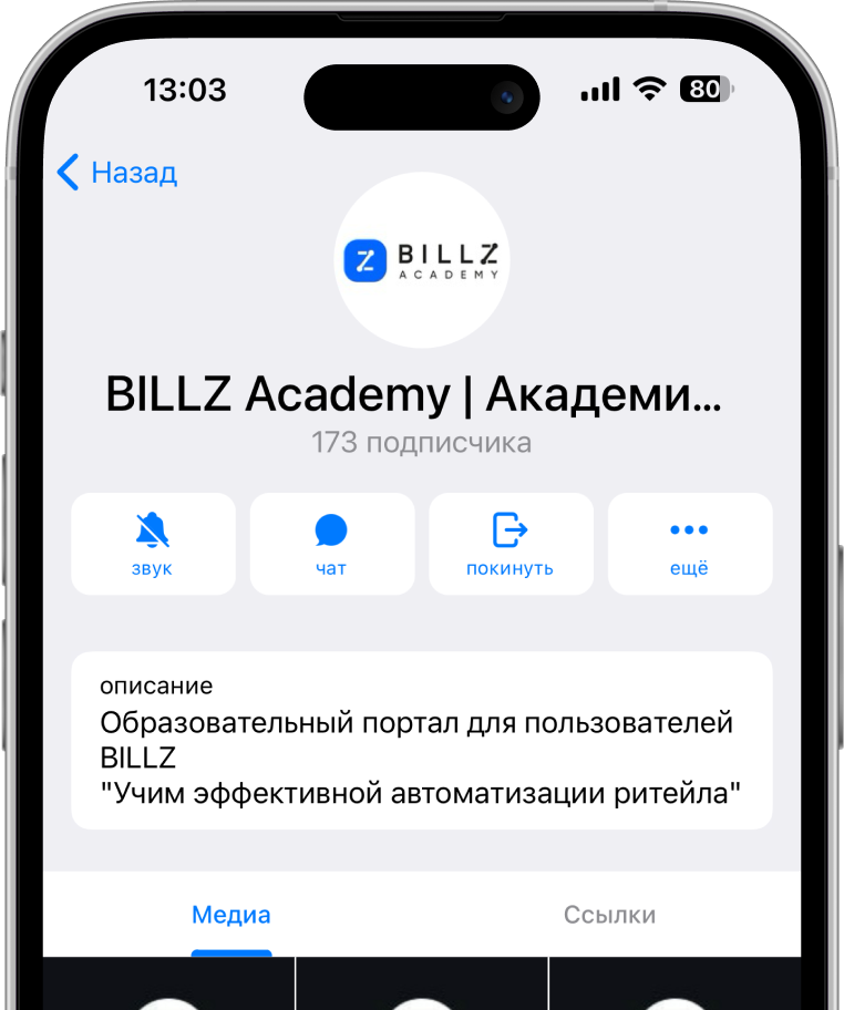 Скриншот Telegram канала BILLZ Academy